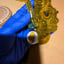 Small image 7