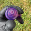 Small image 5