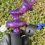 Small image 8