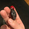 Small image 4