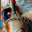 Small image 8