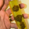 Small image 4