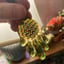 Small image 7