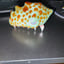 Small image 6