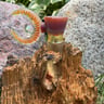 Small image 3
