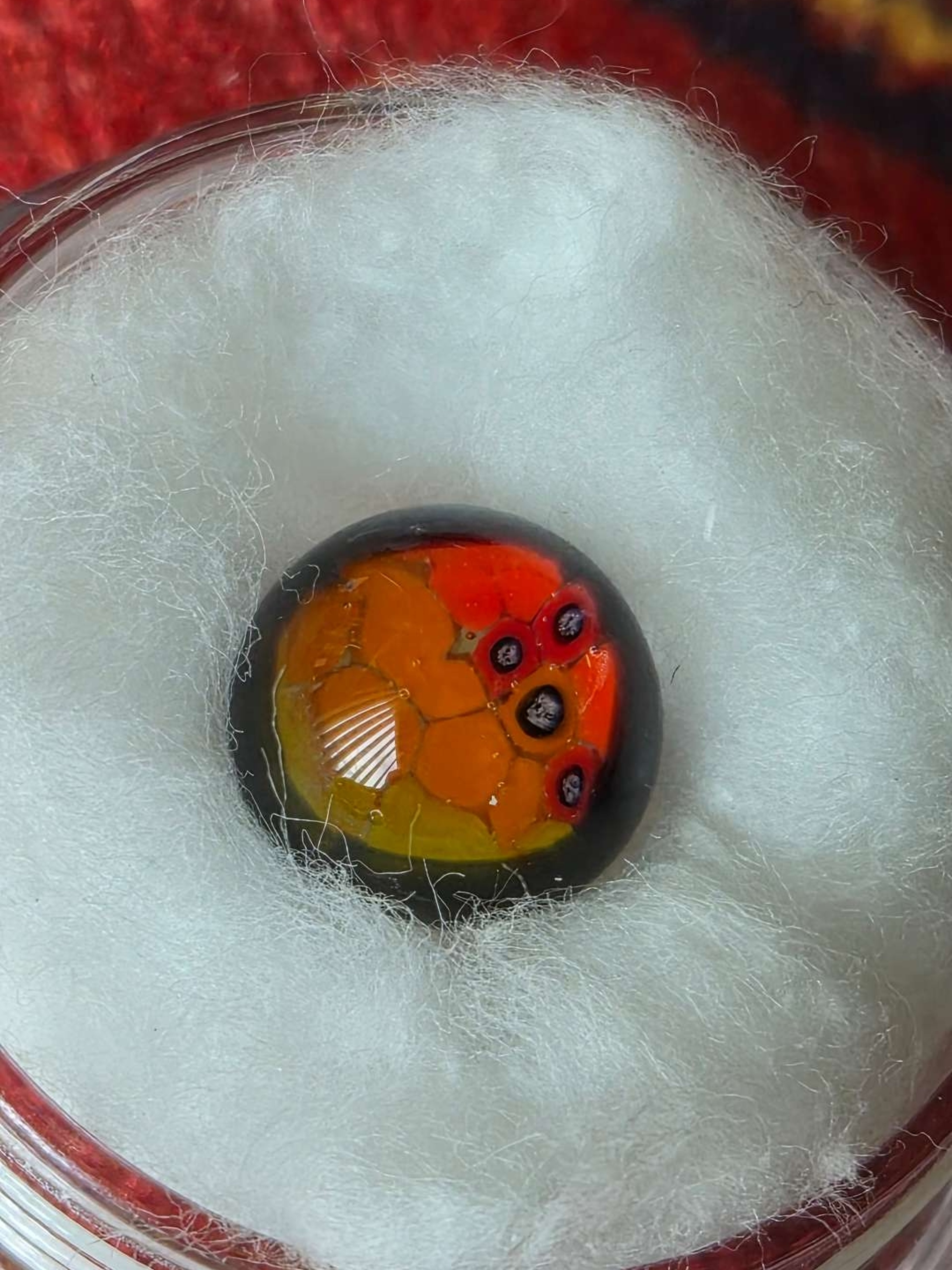 Preview pic of Crunklestein Terp Pearl