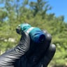 Small image 3