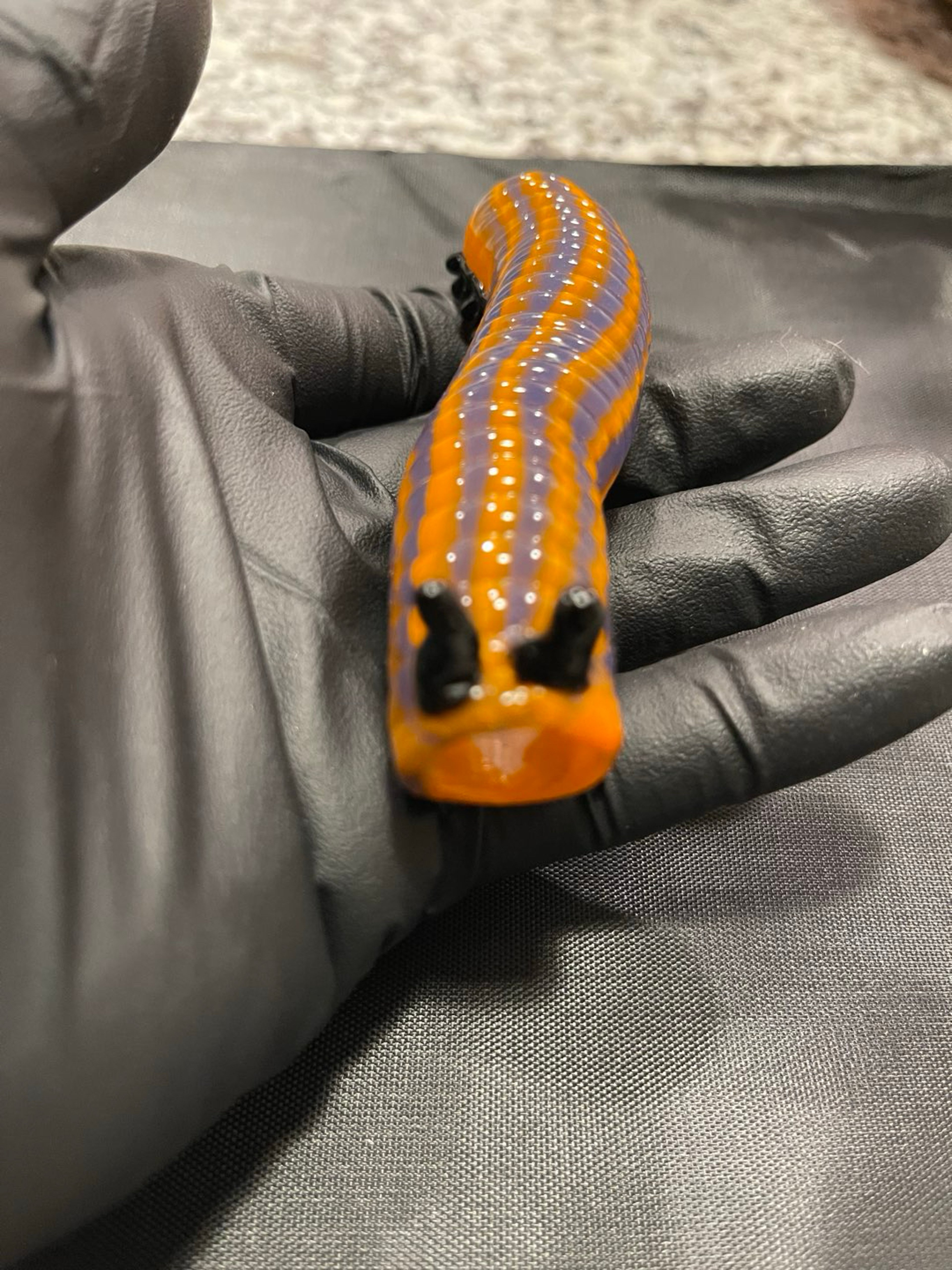 Tammy Baller Caterpillar Chillum Orange Striped image 0