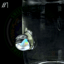 Small image 6