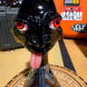 Small image 0