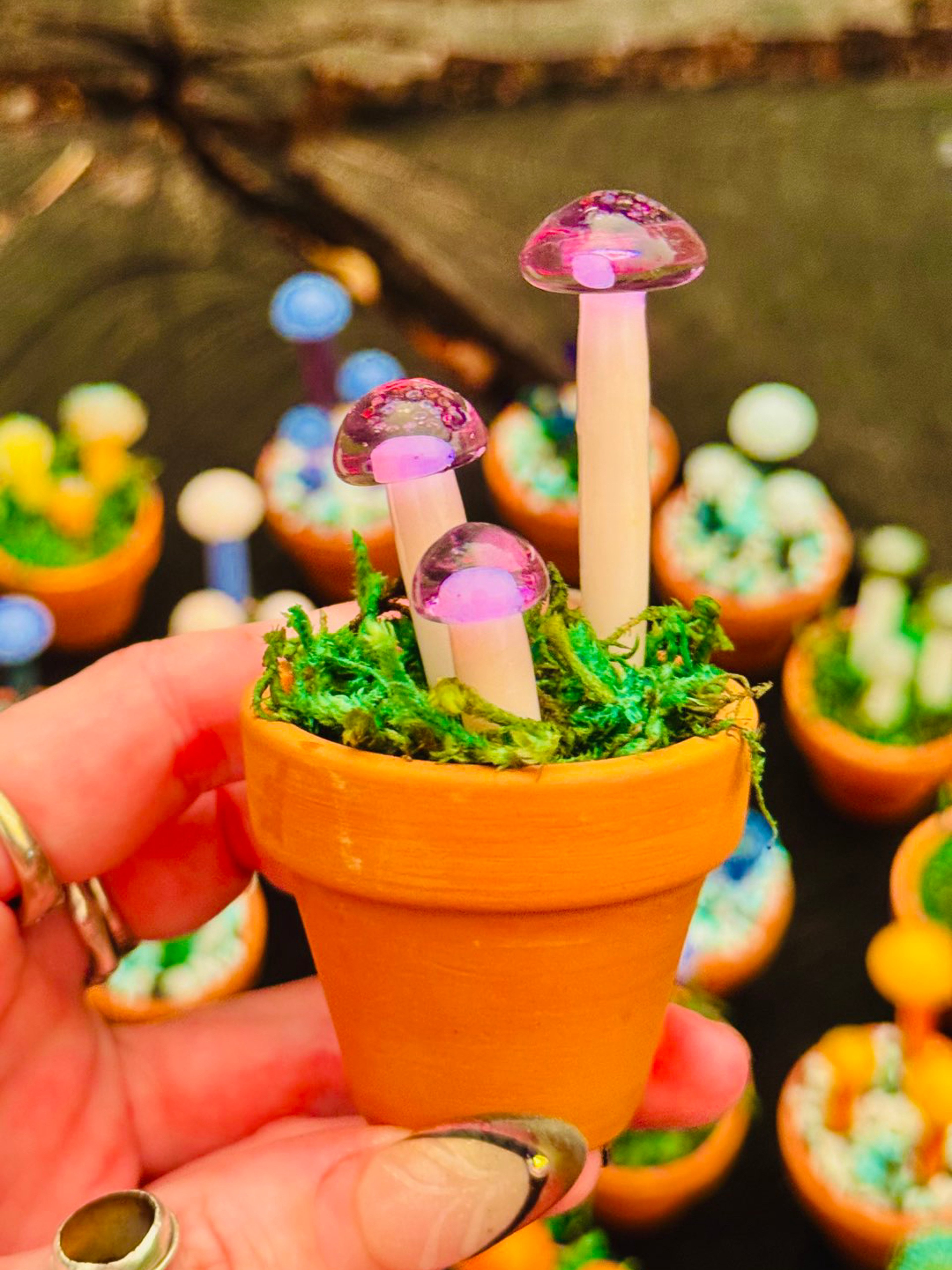 Mushroom poker/ dab tool in a ceramic pot. image 0