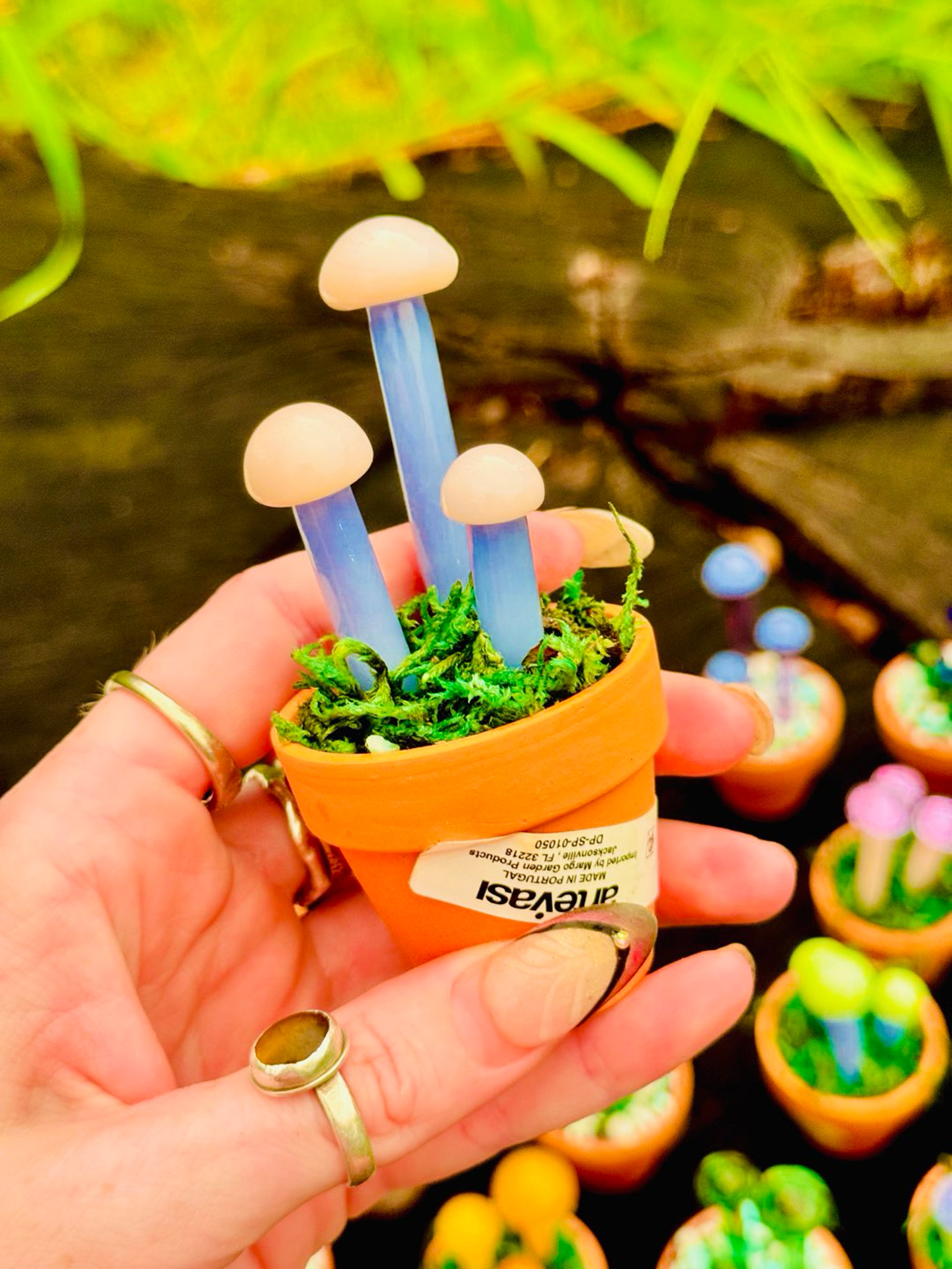 Mushroom poker/ dab tool in a ceramic pot. image 0