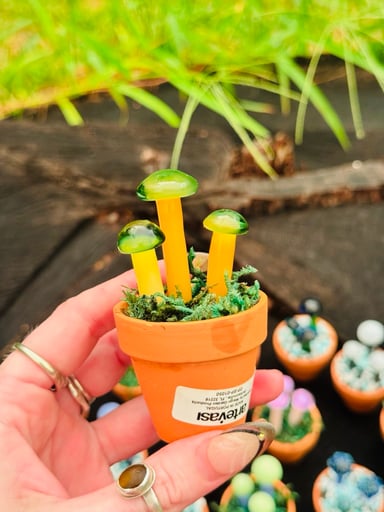 Preview pic of Mushroom poker/ dab tool in a ceramic pot..