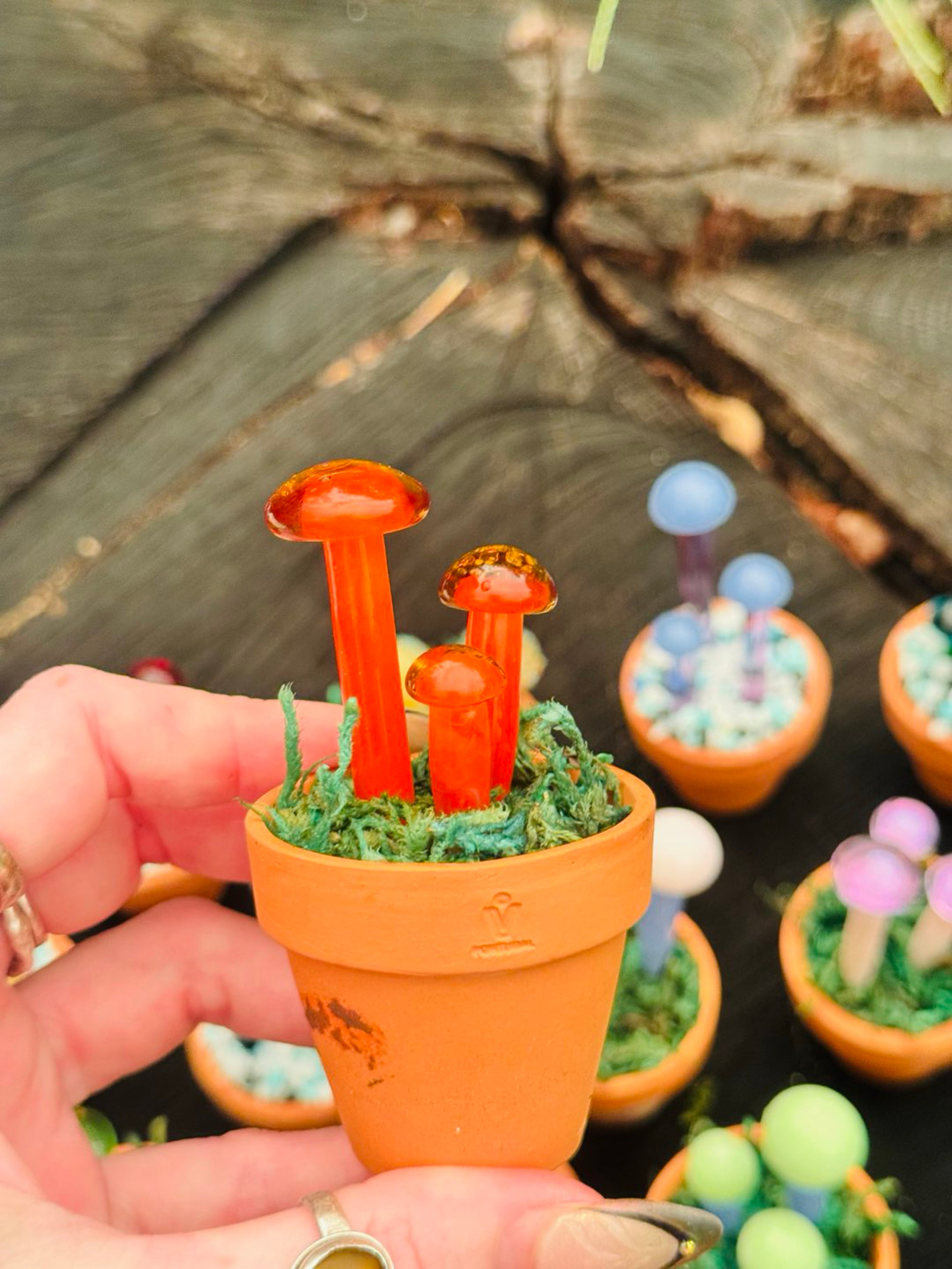 Mushroom poker/ dab tool in a ceramic pot. image 0