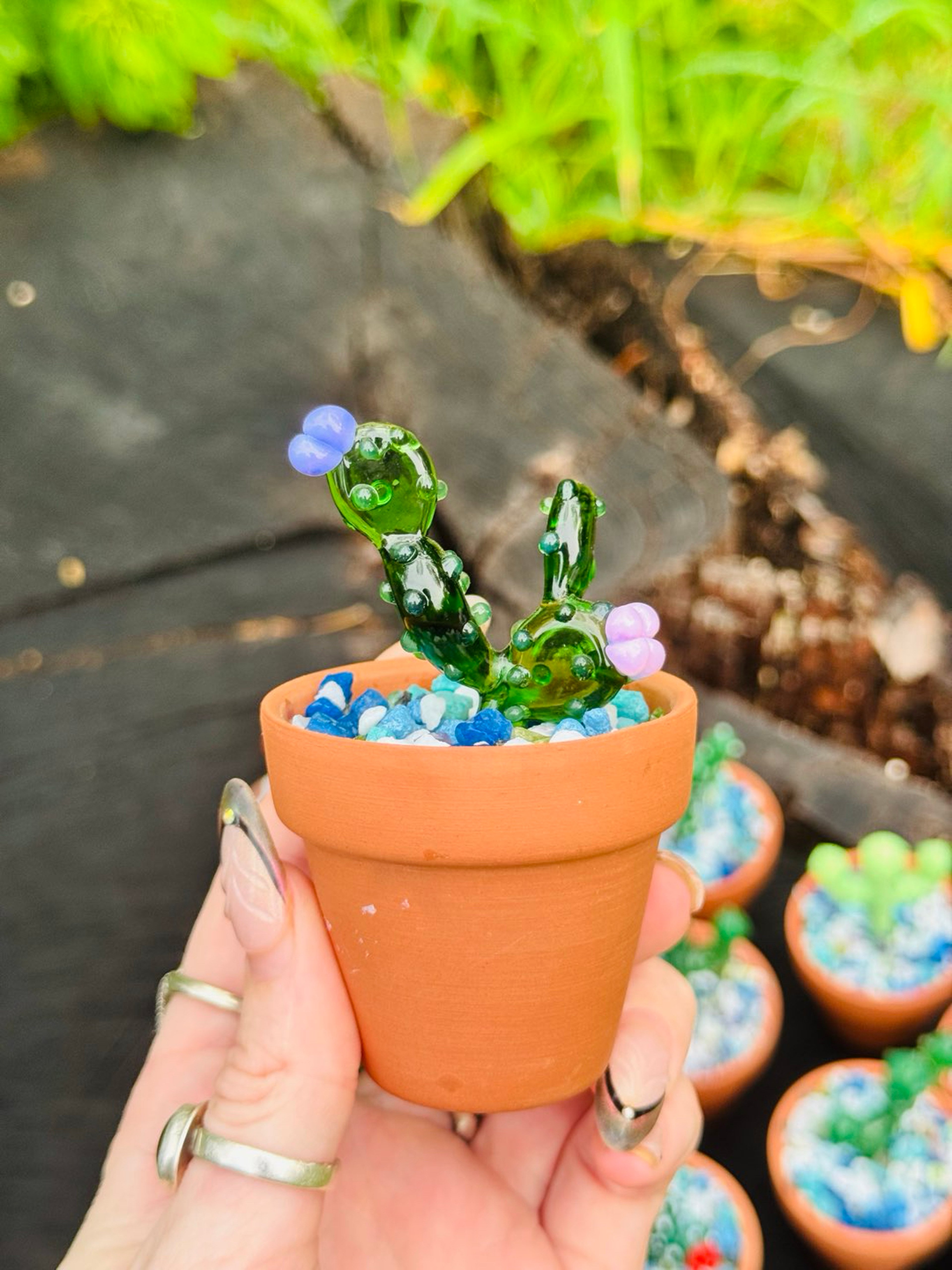 Cactus poker/ dab tool in a ceramic pot. image 0