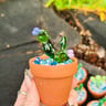 Small image 0