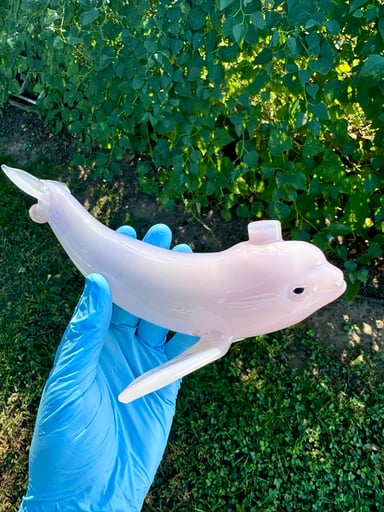 Preview pic of Chad Lacy whale