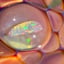 Small image 8