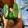 Small image 2