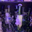 Small image 6