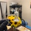 Small image 5