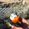 Small image 3
