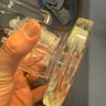 Small image 5