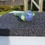 Small image 4