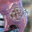 Small image 8