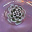Small image 7