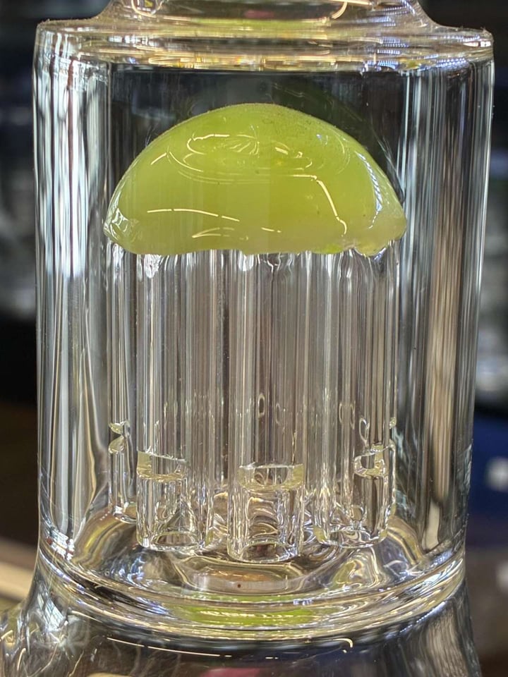 10'' Beaker with 8 Arm Tree P... | Shop Beakers on GlassPass