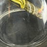 Small image 4