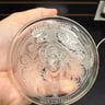 Small image 1