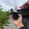 Small image 1