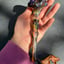 Small image 6