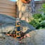 Small image 4