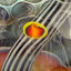 Small image 7