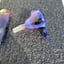 Small image 5