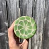 Small image 3