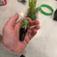 Small image 5