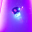 Small image 8