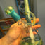 Small image 4