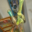 Small image 9