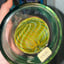 Small image 8