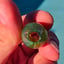 Small image 9