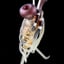 Small image 5