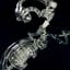 Small image 7