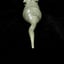 Small image 6