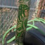 Small image 5