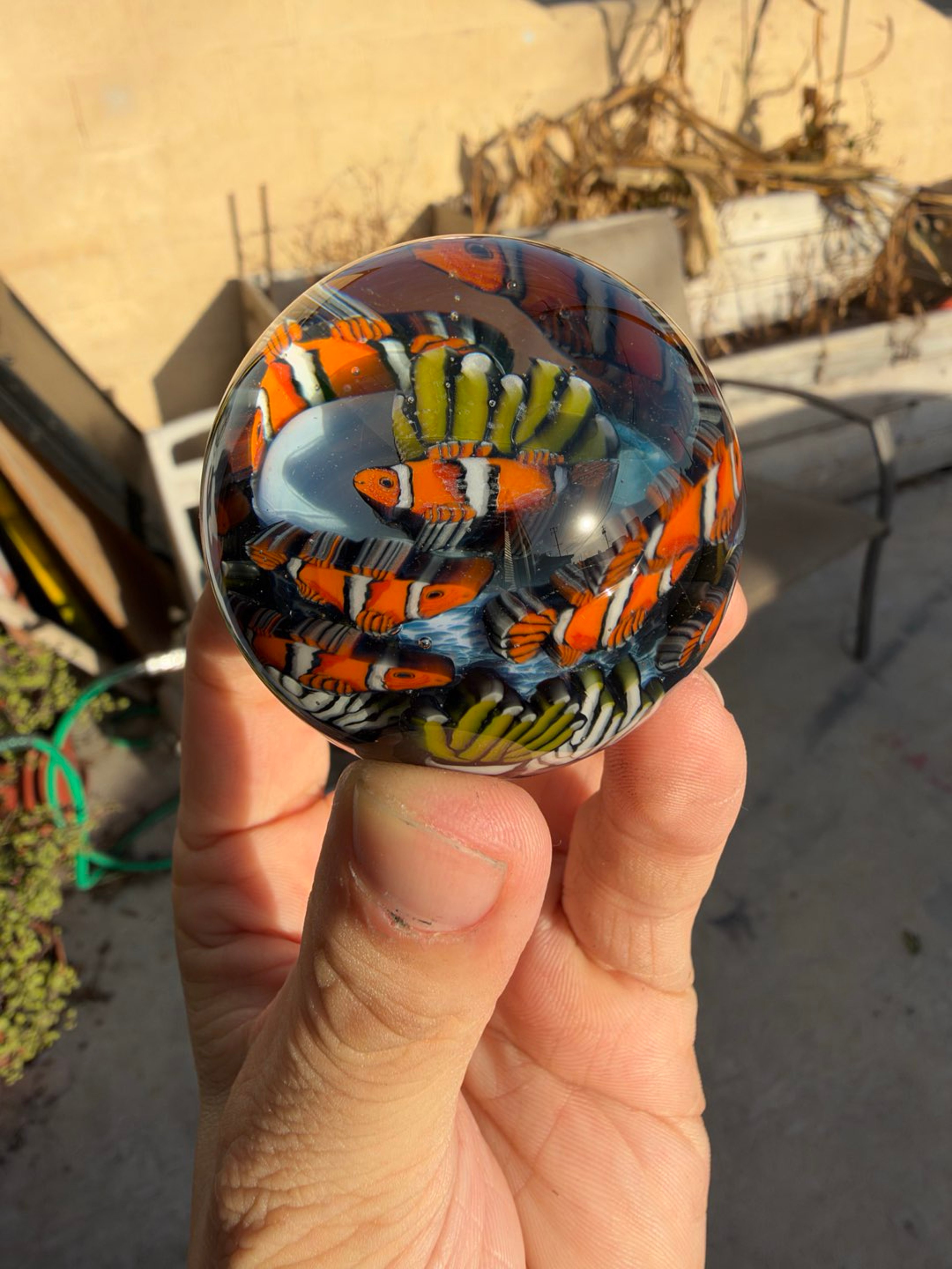 Sleepyz Two Layered Clown Fish Murrine Marble image 0